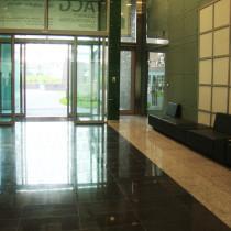 Вид входной группы внутри зданий Бизнес-центр «Вивальди Плаза»